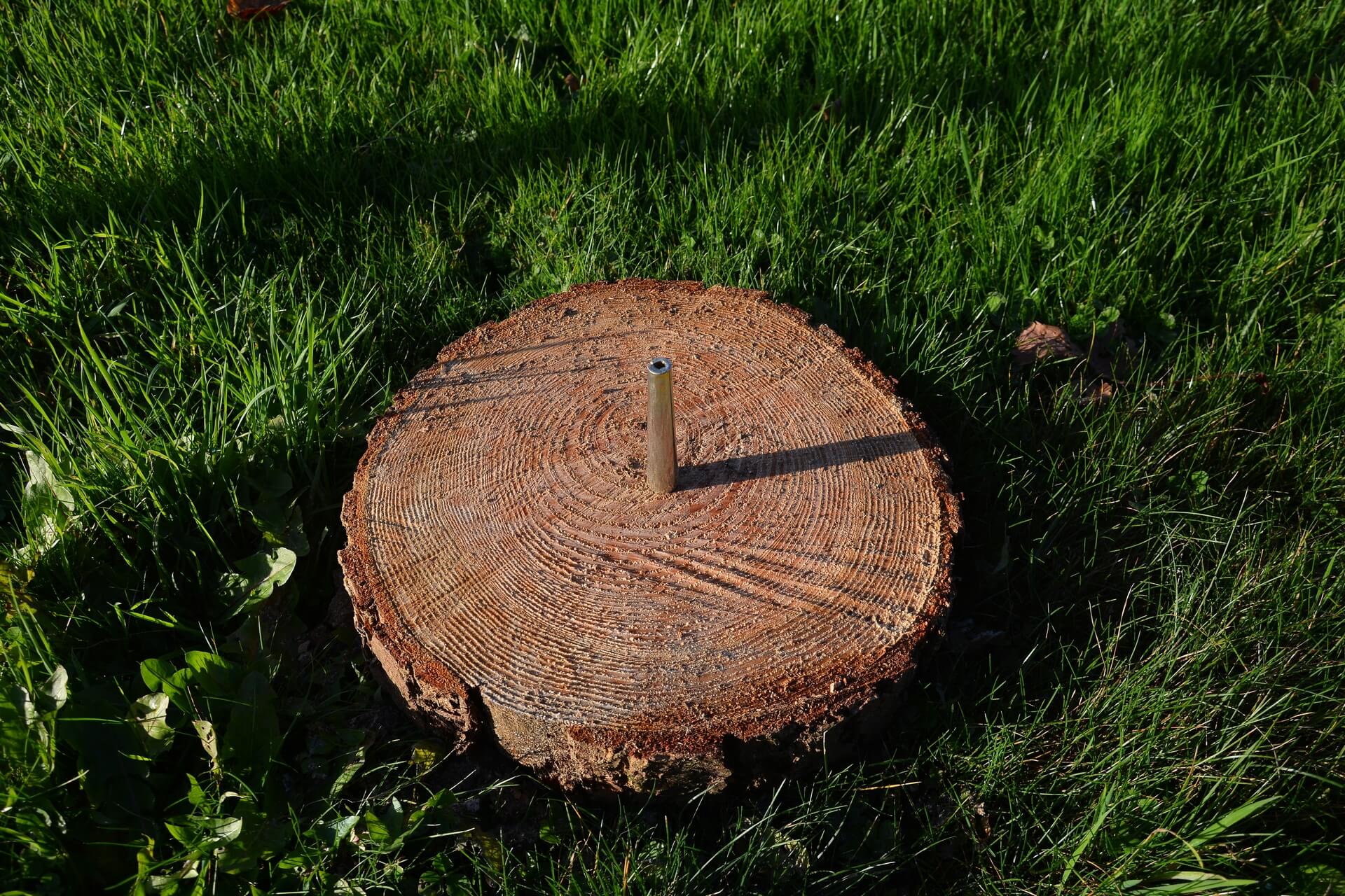 Pied de sapin en bois